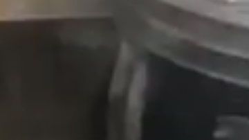 Un video documentó el momento del rescate.