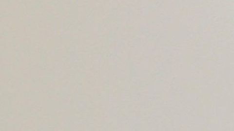 Elizabeth Gutiérrez.