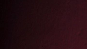 José Luis Sánchez Solá está decepcionado de la raza humana.