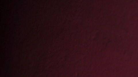 José Luis Sánchez Solá está decepcionado de la raza humana.