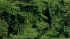 Erasmo Provenza presenta "Exatlón" en Telemundo