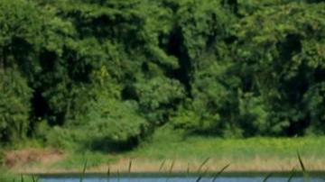 Erasmo Provenza presenta "Exatlón" en Telemundo