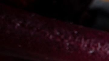 Flor de hibisco o jamaica