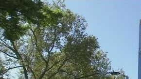 Central Park Tower ya cambió el paisaje