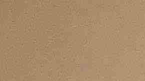 La Escuela de Futbol Celaya que dirige Javier Luna está aceptando nuevos alumnos desde los 4 años en adelante. (Javier Quiroz / La Raza)