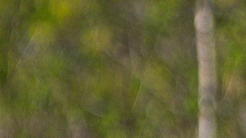 gesina-kunkel-zQcHszXX9g4-unsplash