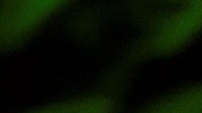 Las empresas son señaladas por prácticas monopólicas.