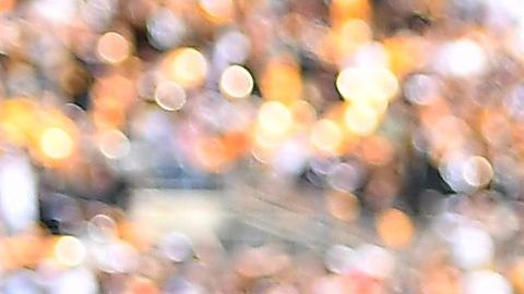 Steelers recibe a Bengals