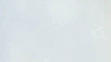 Decenas de menores no acompañados esperan asilo en EEUU.