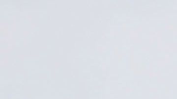 Panteras enfrenta a Bucaneros