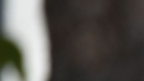 FBI, imagen de archivo.