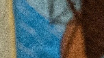 Pelosi informará sobre el proceso contra el mandatario.