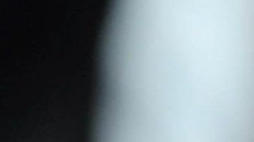 Foto de archivo de un perro pitbull.