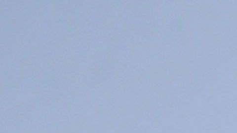 La Liga MX sostendrá reuniones con CONMEBOL para intentar volver al torneo.