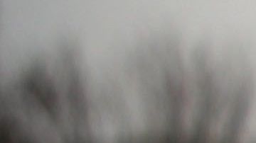 Se estima que los "TPSianos" aportan miles de millones de dólares a la economía del país.