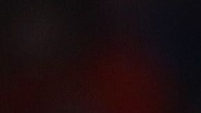 En la Nations League no pudieron con ellos