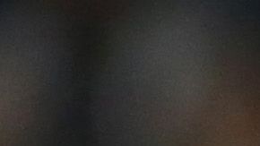 Zlatan sobre Vela: “Es buen jugador, pero no se le puede comparar conmigo”.