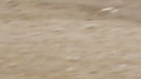 Inmigración detuvo a la mujer y a su hijo la primera vez que intentó cruzar.