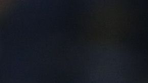 Zlatan Ibrahimovic se ha tomado en serio su participación en la MLS.