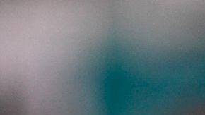 El jugador ya había pedido su canje a los Delfines