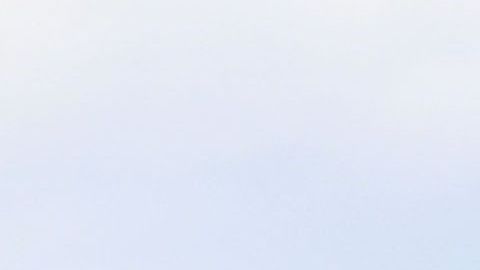 Donald, Melania y Barron Trump.