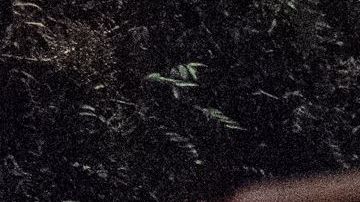 Jaime Lucero habló del ataque en Texas que fue dirigido a mexicanos.