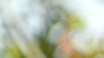 Meghan Markle, la duquesa de Sussex.