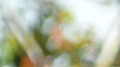 Meghan Markle, la duquesa de Sussex.