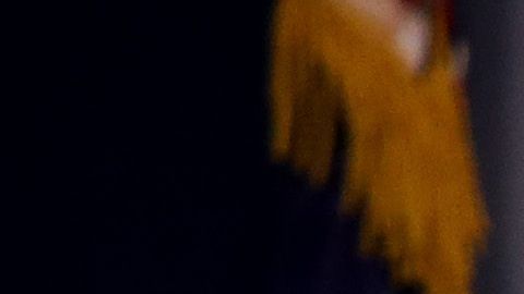 El jefe de la agencia migratoria respondió preguntas durante casi una hora.