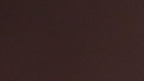 Su exentrenadora presentó una demanda por tres incidentes con el jugador de los Patriotas