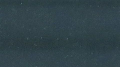 Las Chivas buscarán asesoría del FC Barcelona para mejorar su rendimiento.