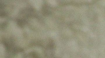 El presidente Trump pidió la renuncia a John Bolton.