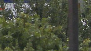 Las inundaciones paralizan el tráfico en Houston, Texas.