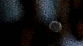 Sinisa Mihajlovic lucha contra la leucemia y el Bologna le dio una sorpresa