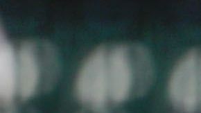 Los Cerveceros buscan mejorar lo logrado la campaña pasada.