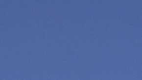 La operación requirió acciones especiales de "La Migra".