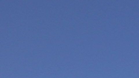 La operación requirió acciones especiales de "La Migra".