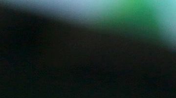 Jets llegan tras perder con los Bills; mientras que los Browns perdieron ante Tennessee