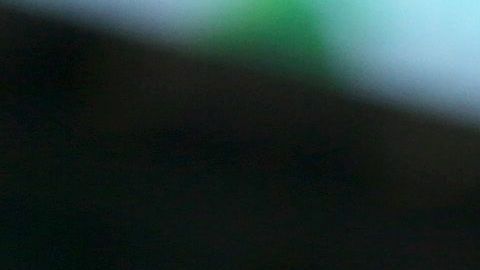 Jets llegan tras perder con los Bills; mientras que los Browns perdieron ante Tennessee