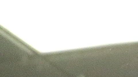 Los Angeles Dodgers son campeones divisionales.