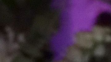 Cindy Bruna, Neymar y Kylian Mbappé posando en el cumpleaños de la modelo.