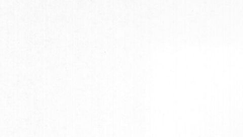 Freddy Mercury en 1982