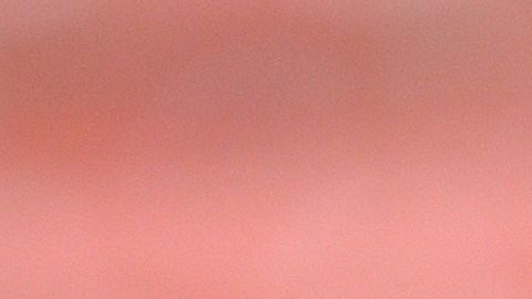 Manuel Rosas fue quien votó como representante de la selección, en lugar de su capitán .