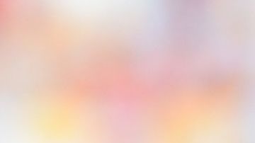 Romario es condenado a pagar una multa de $94 mil dólares.