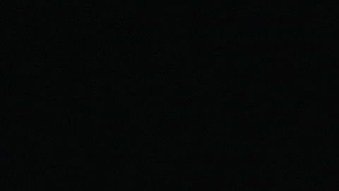 Steve King es representante en la Cámara por el estado de Iowa.