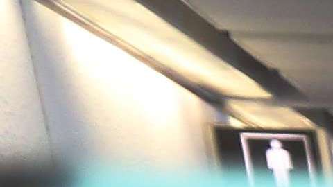 Pudo llegar hasta el control previo a abordar el avión.