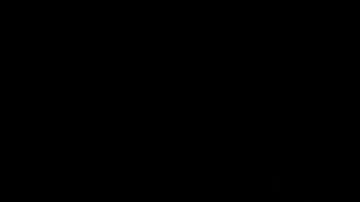 Más de 20 millones de ficheros con datos migratorios están soterrados allí.