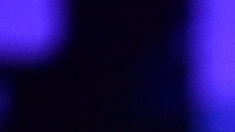 Coulter escribió el libro "En Trump confiamos".