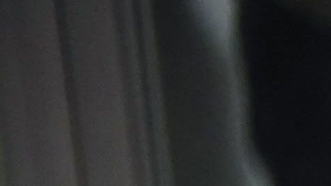 Mjoness tenía en su auto una pistola cargada con 50 balas.