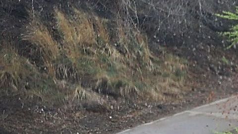 Trump dice que los desamparados contaminan el mar.